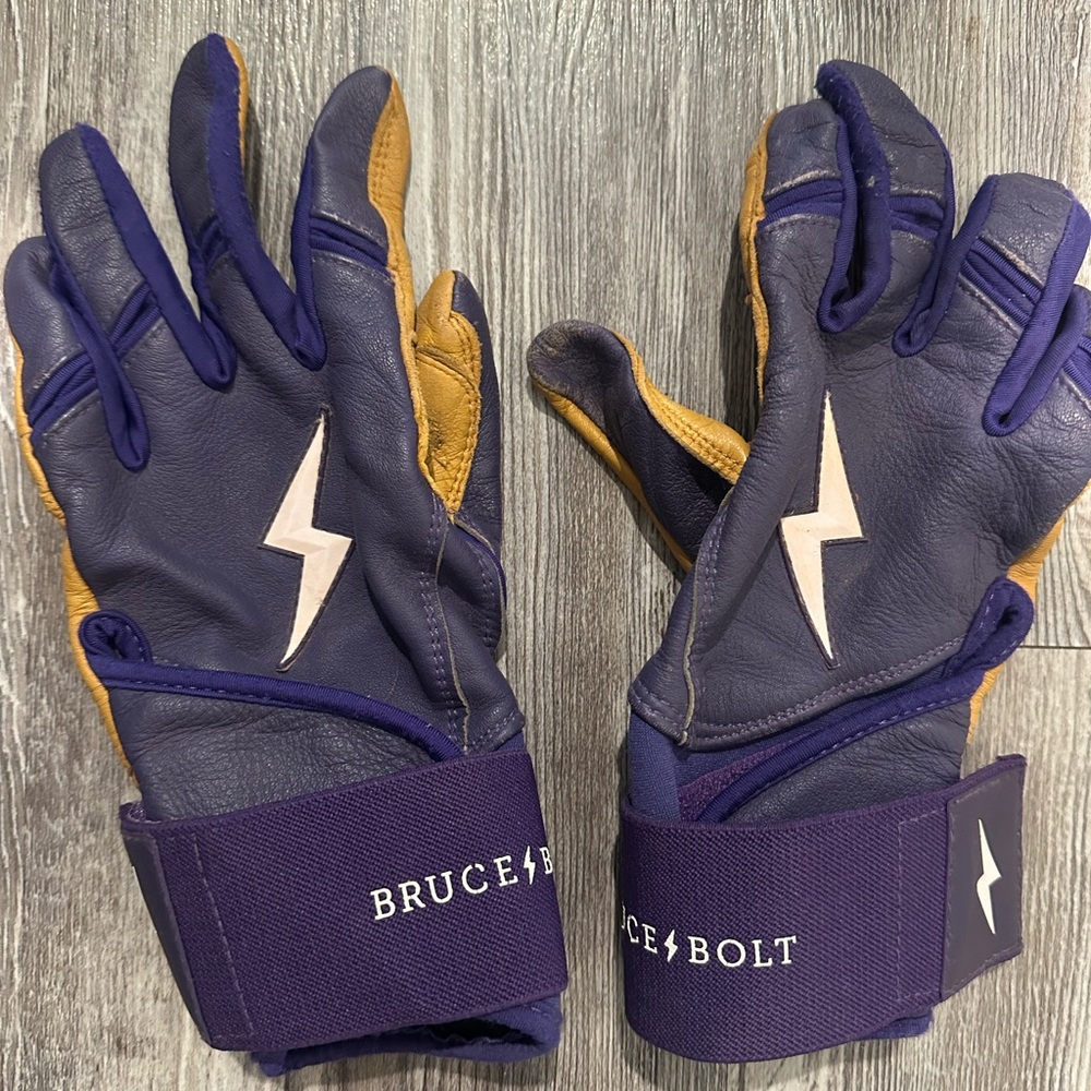 Bruce Bolt Batting Gloves